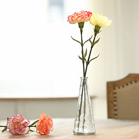 Comment choisir un vase pour les fleurs: donner un zeste à l'intérieur