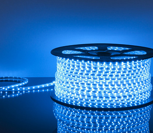 11 meilleurs fabricants de bandes de LED