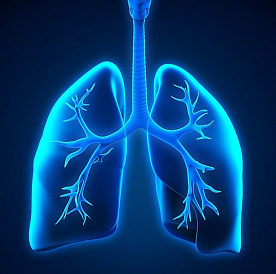 11 parasta keuhkoputkentulehdusta