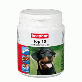 18 parasta vitamiinia koirille